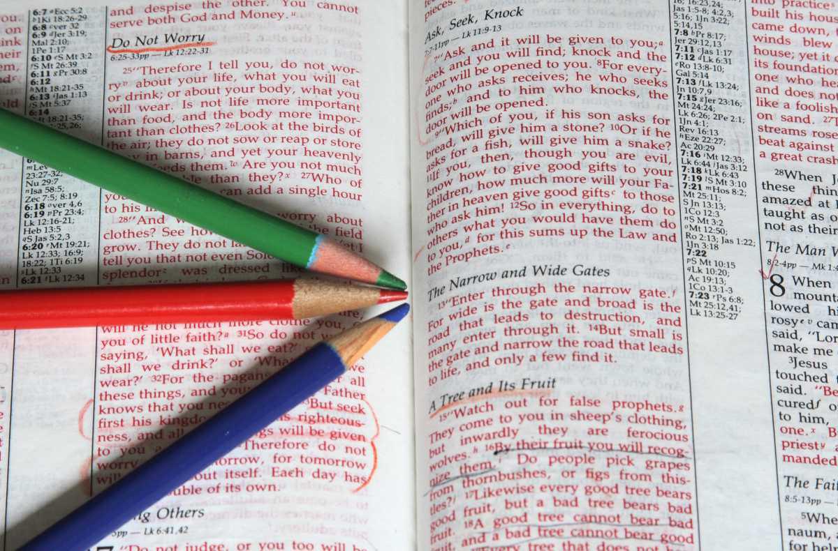 The Narrow Gate The Narrow Gate