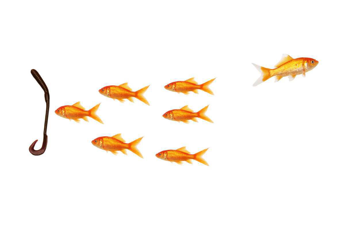 The Narrow Gate The Narrow Gate