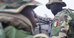 FORTE PRÉSENCE MILITAIRE À SAINT-LOUIS - La région du fleuve en mode simulation contre toute attaque terroriste