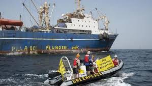 L’Afrique de l’Ouest a le taux d’espèces surexploitées le plus élevé au monde