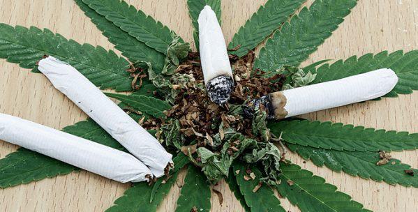 Au Canada, le cannabis sera légal dans quelques mois