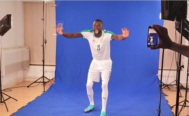 SEANCE PHOTO Les Lions en mode shooting