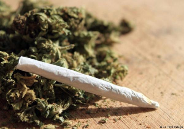 TRAFIC INTERNATIONAL DE DROGUE: La douane fait une importante saisie de 1376 kg de chanvre indien à Kidira