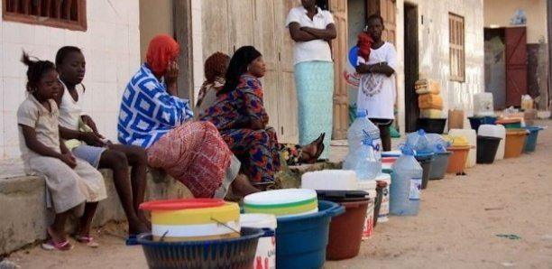 Manque d'eau à Dakar : Les explications de la directrice de Sen'Eau