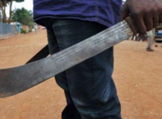 Vol en réunion commis la nuit avec usage d’armes et violences, dommages à la propriété d’autrui, détention illégale d’armes:  Armés de machettes et de couteaux, huit agresseurs dépouillaient les usagers de l’autoroute