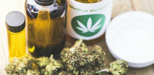 DETENTION ET USAGE DE DROGUE: 5 jeunes dont 3 lycéennes de 19 ans tombent avec du haschisch et des comprimés de Rivotril
