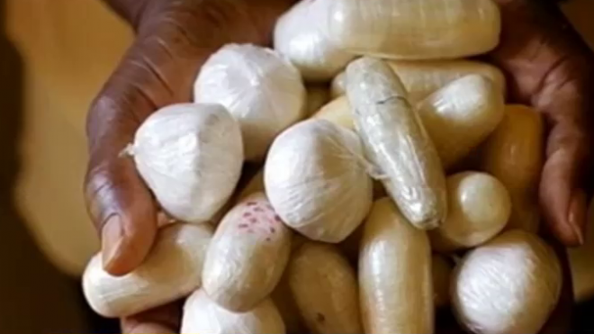 TRAFIC INTERNATIONAL DE COCAINE ET BLANCHIMENT A ZIGUINCHOR: L’antenne de l’Ocrtis démantèle un réseau et saisit 1 kg et deux boulettes de coke