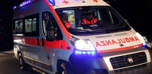 Anecdote : Un mouton sorti d’une ambulance qui a raté son virage