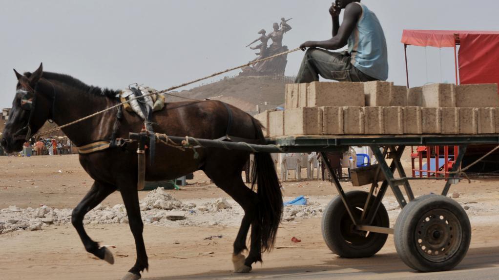 BAGARRE À GRAND-DAKAR : Un charretier fracasse le crâne d'un individu qui lui reprochait de rouler à vive allure dans son quartier