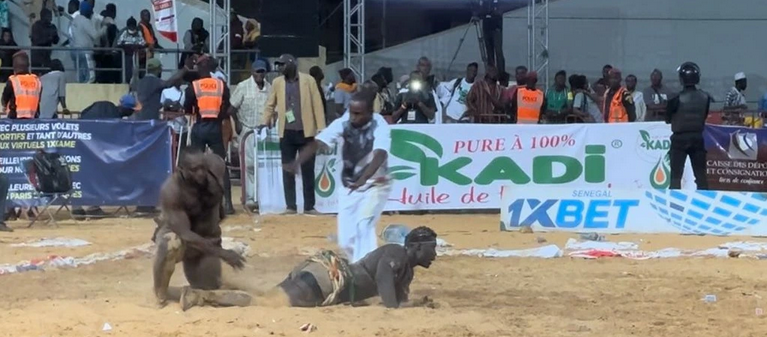 CONFIRMATION DEVANT LES JEUNES : MBAYE GOUY GUI, ADA FASS ET DIENE KAIRE Zarco foudroie Niang Bou Ndaw