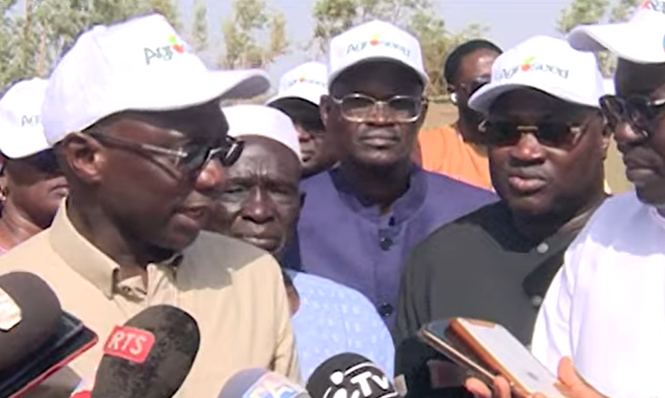 Visite du Ministre de l'agriculture Dr Mabouba DIAGNE au Champs Agroseed et invite le secteur privé a bloqué 66 milliards d'exportation de fruits et légumes et des milliers d'emplois