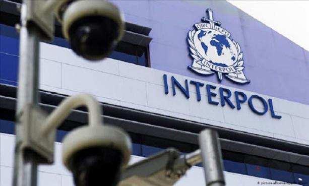 Usurpation, montages X et arnaque : un étudiant sénégalais dans le filet d’Interpol