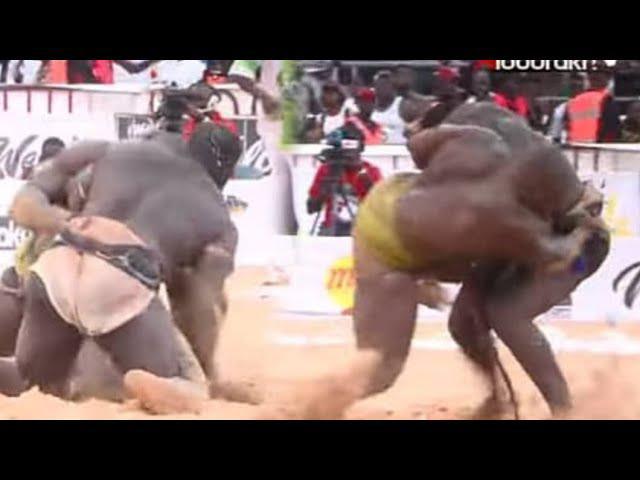 ECHOS ARENE / COMBAT REVANCHE : Sa Thiès confirme et inflige une chute mémorable à Zarco