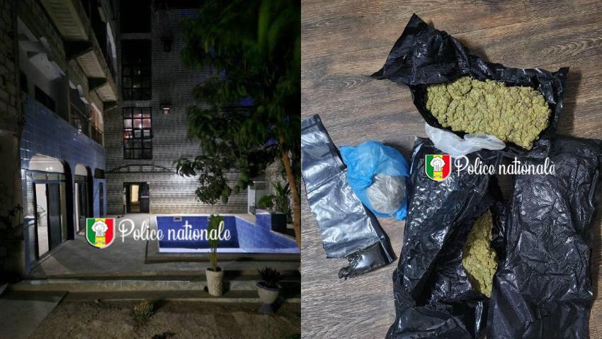 Trafic de drogue : un binational au cœur d’un réseau entre Dakar, Somone et Californie