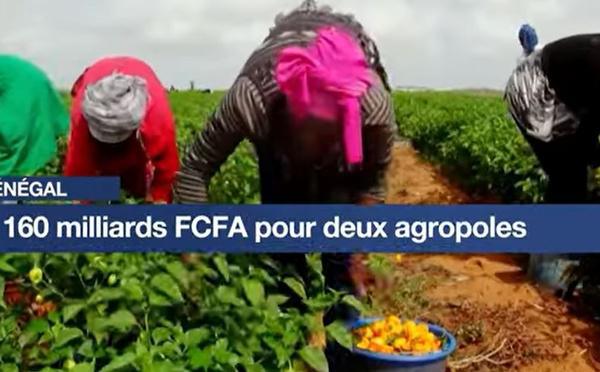 Sénégal : 160 milliards FCFA la construction de deux pôles agro-industriels