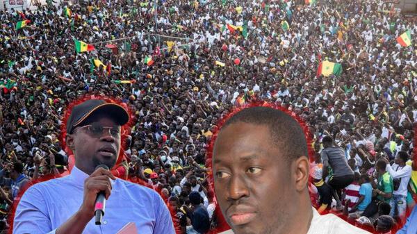 PAPE MALICK NDOUR DÉMENT OUSMANE SONKO DANS L’AFFAIRE PRODAC : «On m’accuse d’avoir été entendu et épinglé par un homme disparu avant ma nomination »