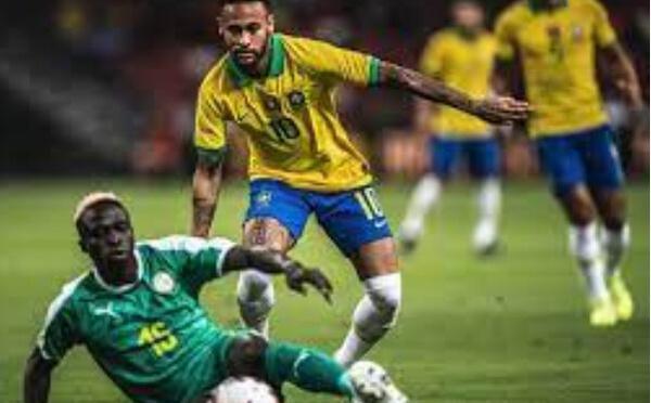 choc face au Brésil samedi 12 Lions au premier galop hier