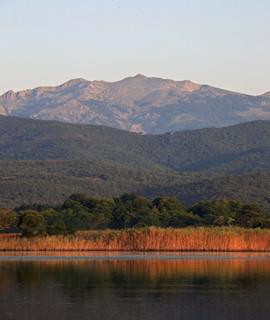 Journée mondiale des zones humides 2025 : A Cullettività di Corsica sempre impignata in a prutezzione di l’ambienti umidi 