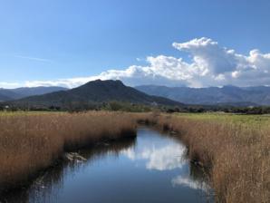 Journée mondiale des zones humides 2025 : A Cullettività di Corsica sempre impignata in a prutezzione di l’ambienti umidi 