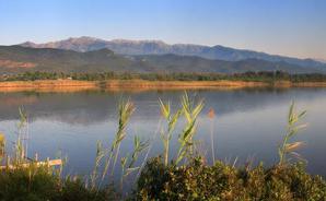 Journée mondiale des zones humides 2026 : A Cullettività di Corsica sempre impignata in a prutezzione di l’ambienti umidi 