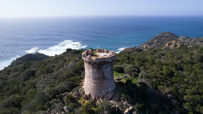 Sauvegarde de la tour Capu Neru