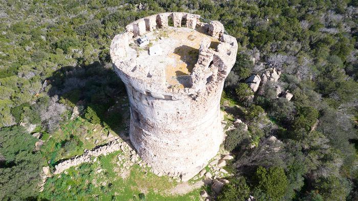 Sauvegarde de la tour Capu Neru