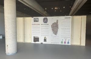 Mostra : "Sguardi novi" à u Museu di a Corsica