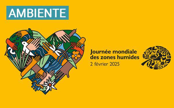 Journée mondiale des zones humides 2025 : A Cullettività di Corsica sempre impignata in a prutezzione di l’ambienti umidi 