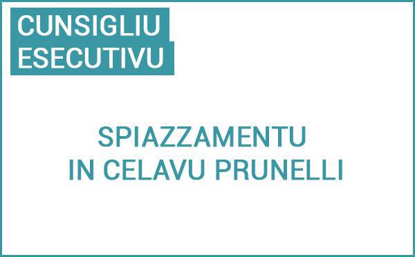 Spiazzamentu di u Cunsigliu esecutivu di Corsica in Celavu Prunelli, u 17 di ghjugnu di u 2025