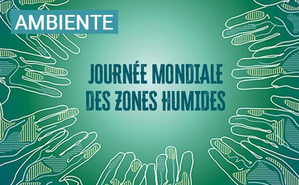 Journée mondiale des zones humides 2026 : A Cullettività di Corsica sempre impignata in a prutezzione di l’ambienti umidi