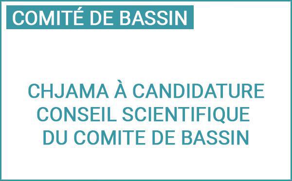 Chjama à candidature : rejoignez le Conseil scientifique du Comité de bassin de Corse