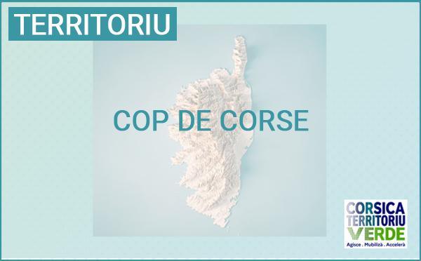 Reunione anninca di a COP di Corsica, u 2 di lugliu in Bastia