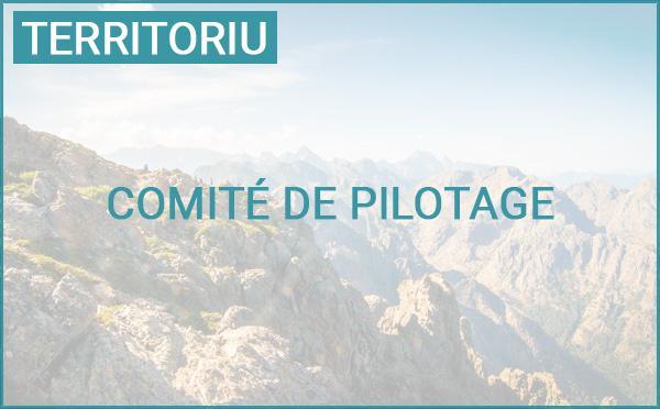 Comité de pilotage « Stratégie de sobriété foncière (ZAN) » et Conseil de l'aménagement et de l'urbanisme de la Corse