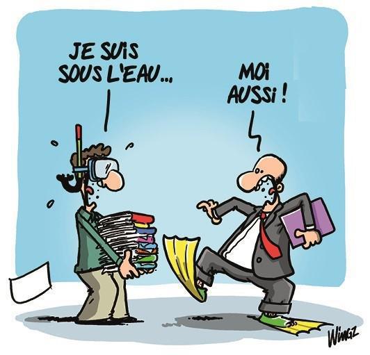 Retour à la normale : quid de D&I ? Retour à la normale : quid de D&I ?