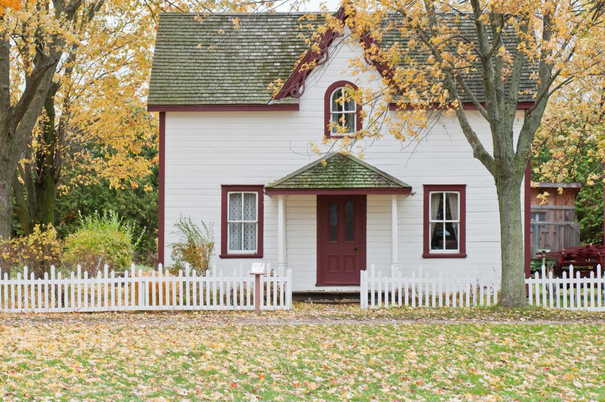 Assurance Habitation avec ou sans chien catégorisé. 