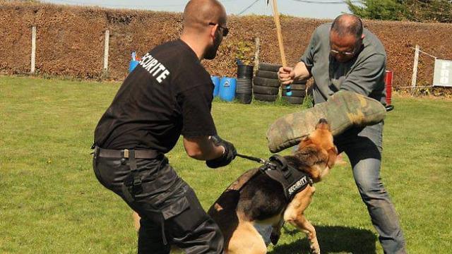 Contrat Formator Contrat Formator