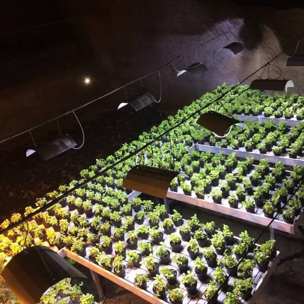 Introduzione 2 Introduzione 2