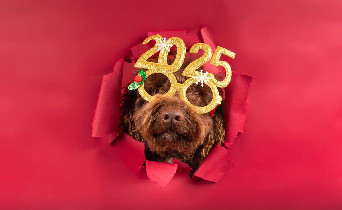 Bonne année 2025 à tous nos adhérents Helipadel !
