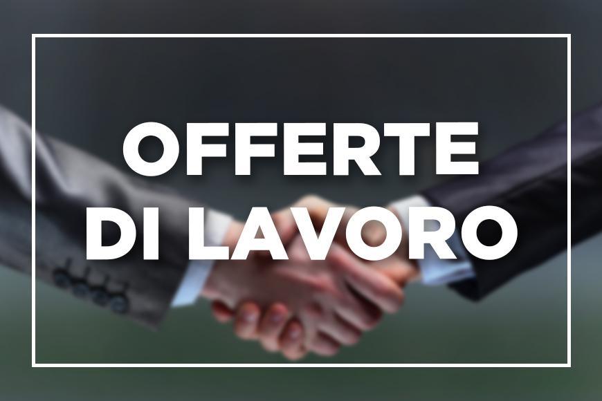 Vuoi pubblicare un’offerta di lavoro?