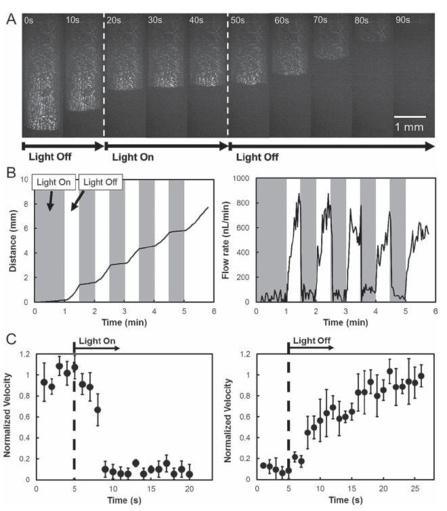 Light Governed Capillary Flow In Microfluidic Systems