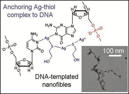 baigl lab