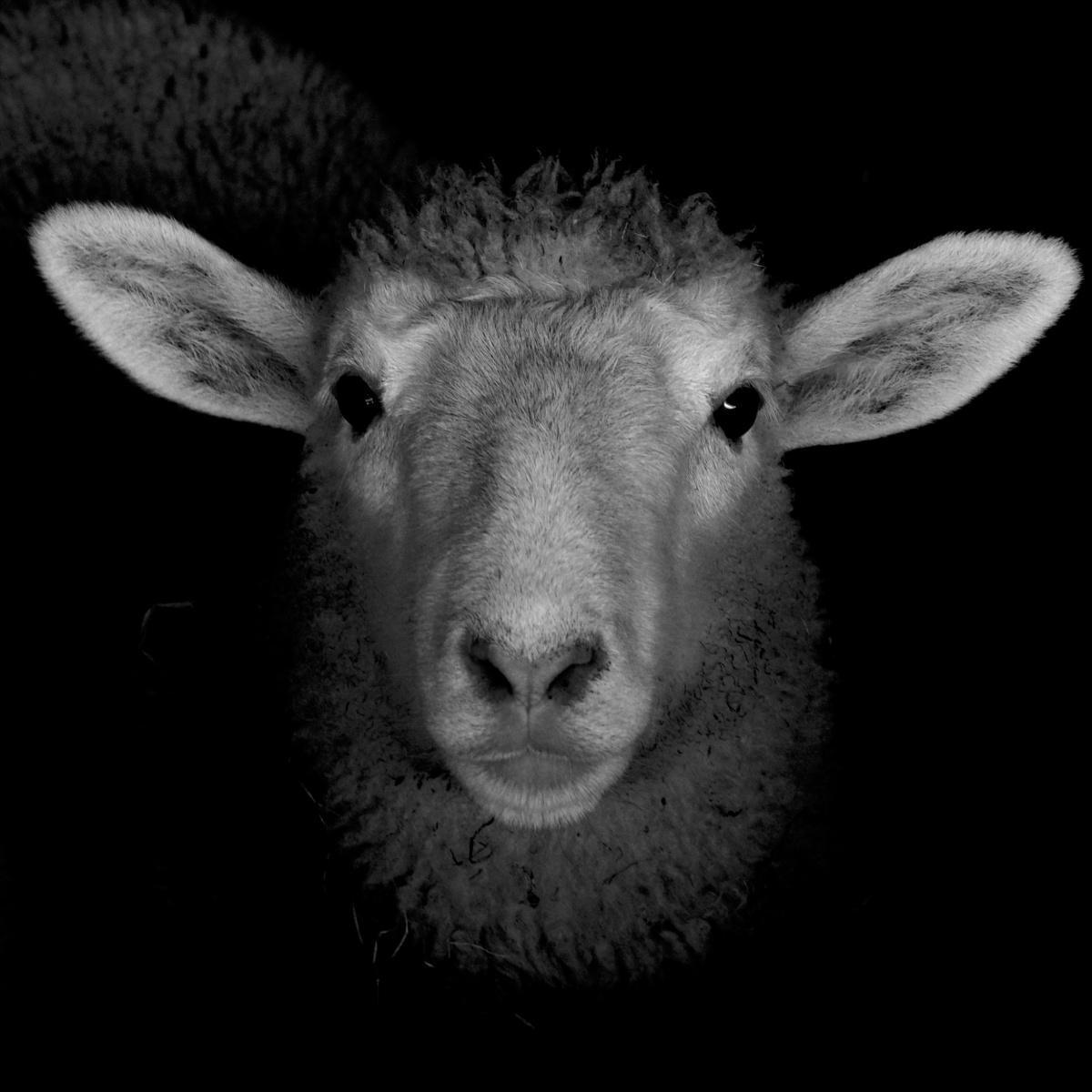 Why Über Reality? Why Über Reality?