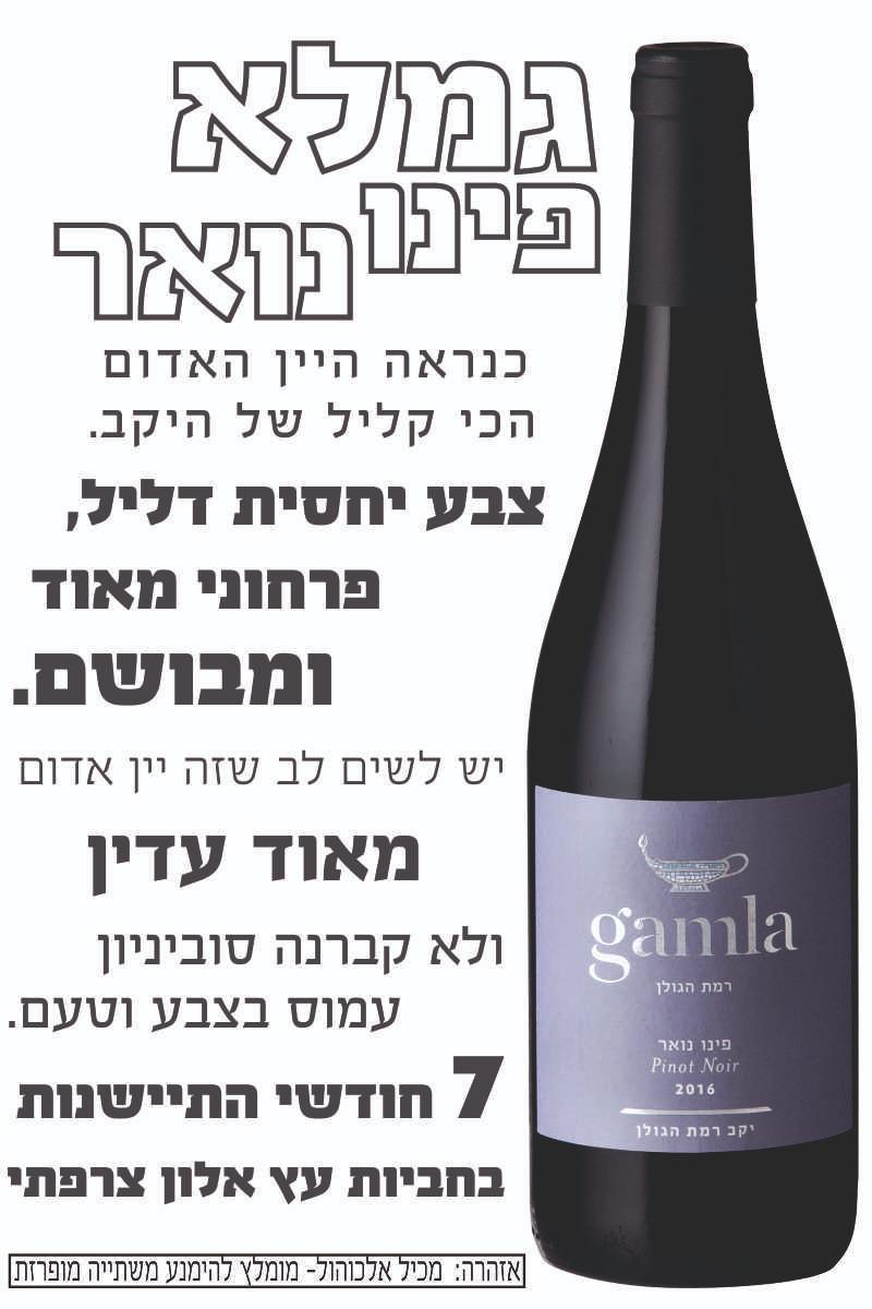 גמלא פינו נואר