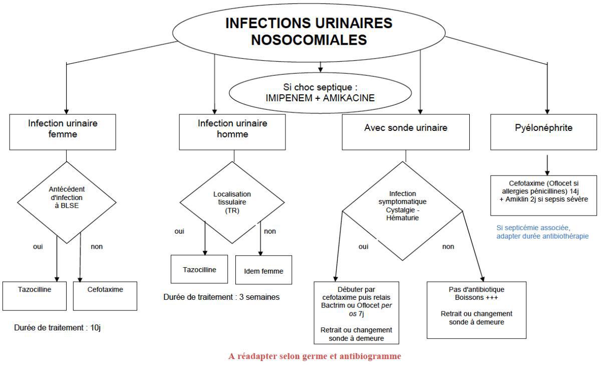 Infection urinaire nosocomiale
