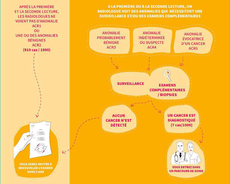 Examens de dépistage, quels sont les résultats possibles ? Examens de dépistage, quels sont les résultats possibles ?