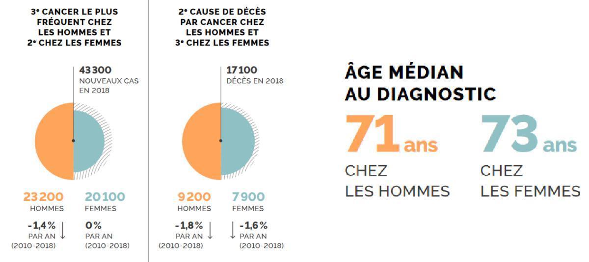 Le dépistage du cancer colorectal en pratique Le dépistage du cancer colorectal en pratique