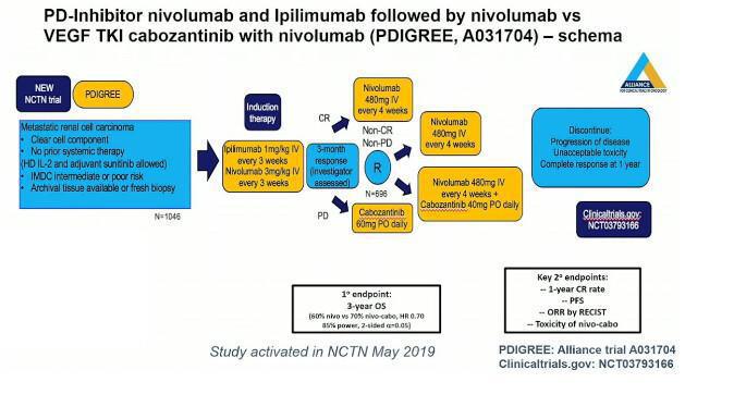 Les Highlights de l'ASCO-GU 2025: Jour 3 Cancer du rein Les Highlights de l'ASCO-GU 2025: Jour 3 Cancer du rein