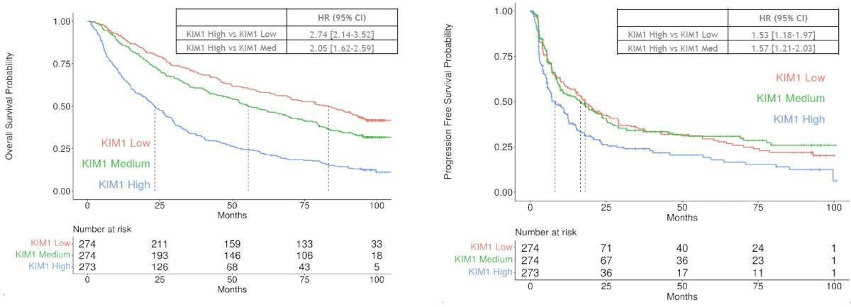 Les Highlights de l'ASCO-GU 2025: Jour 3 Cancer du rein Les Highlights de l'ASCO-GU 2025: Jour 3 Cancer du rein