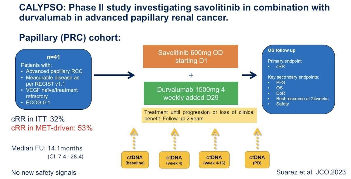 Les Highlights de l'ASCO-GU 2025: Jour 3 Cancer du rein Les Highlights de l'ASCO-GU 2025: Jour 3 Cancer du rein