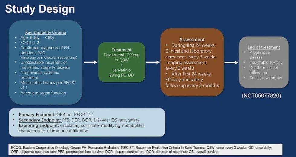 Les Highlights de l'ASCO-GU 2025: Jour 3 Cancer du rein Les Highlights de l'ASCO-GU 2025: Jour 3 Cancer du rein